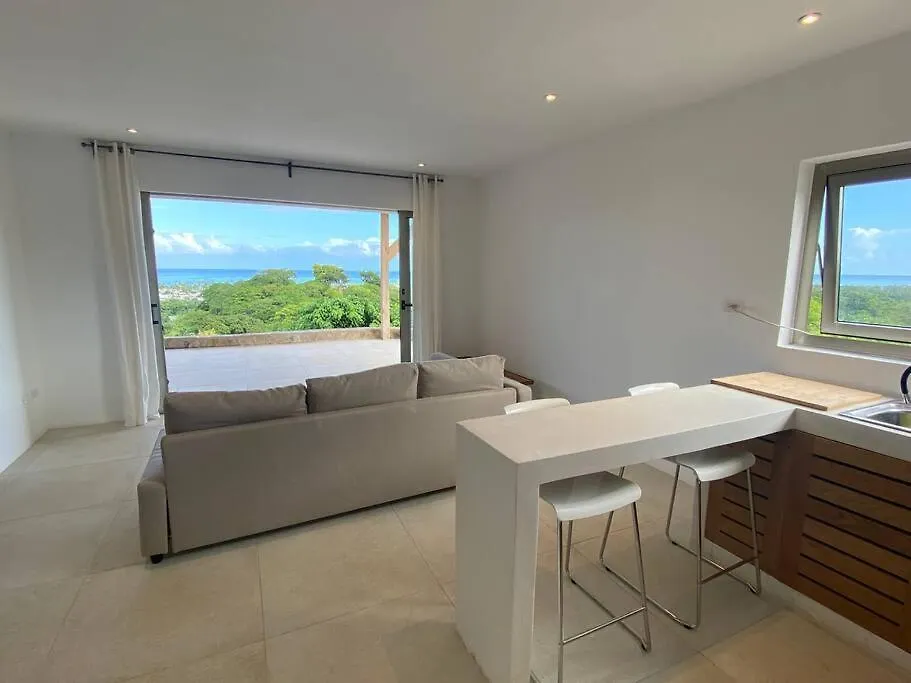 Villa Unbeatable Oceanview 600M2 - 5 Min To The Beach Las Terrenas